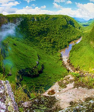 Georgetown Guyana Chute Foret Tropicale