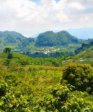 Tegucigalpa Highlands