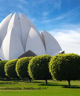 Delhi Temple Lotus