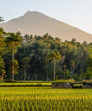 Lombok Tetebatu Rizieres Volcan