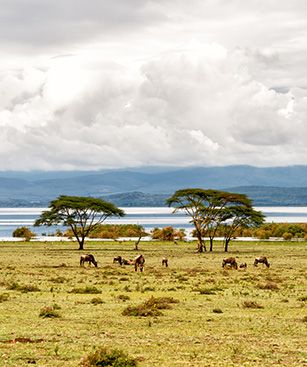 Nairobi