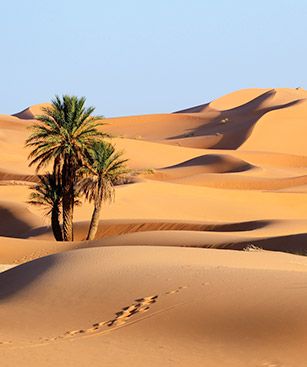 Laayoune Dunes