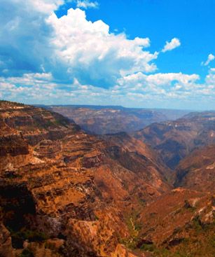 Chihuahua Copper Canyon Mexico