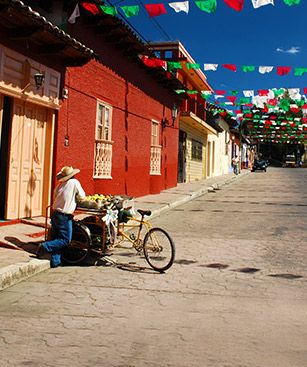 Torreon Rue