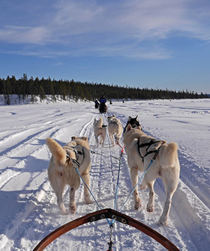 Kirkenes Norvege Snow