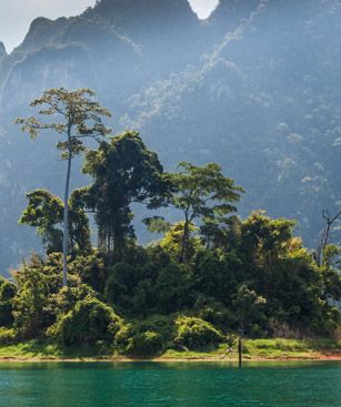 Surat Thani Lush Island Khao Sok National Park