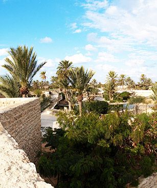 Djerba Ville Au Loin Et Palmiers