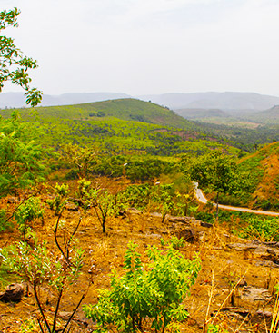 Guinée-Bissau