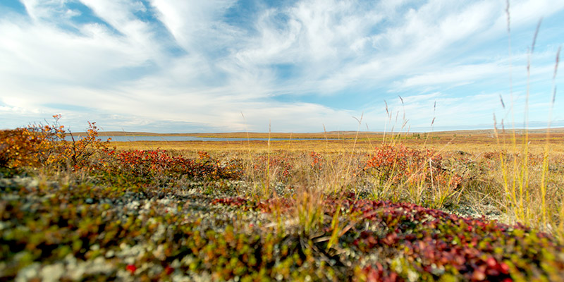 Nunavut