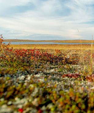 Nunavut