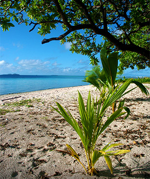 Wallis-et-Futuna