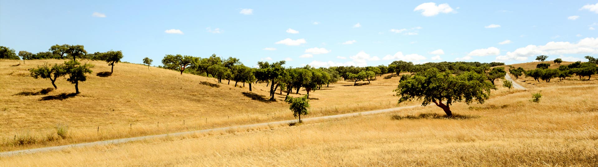 Alentejo