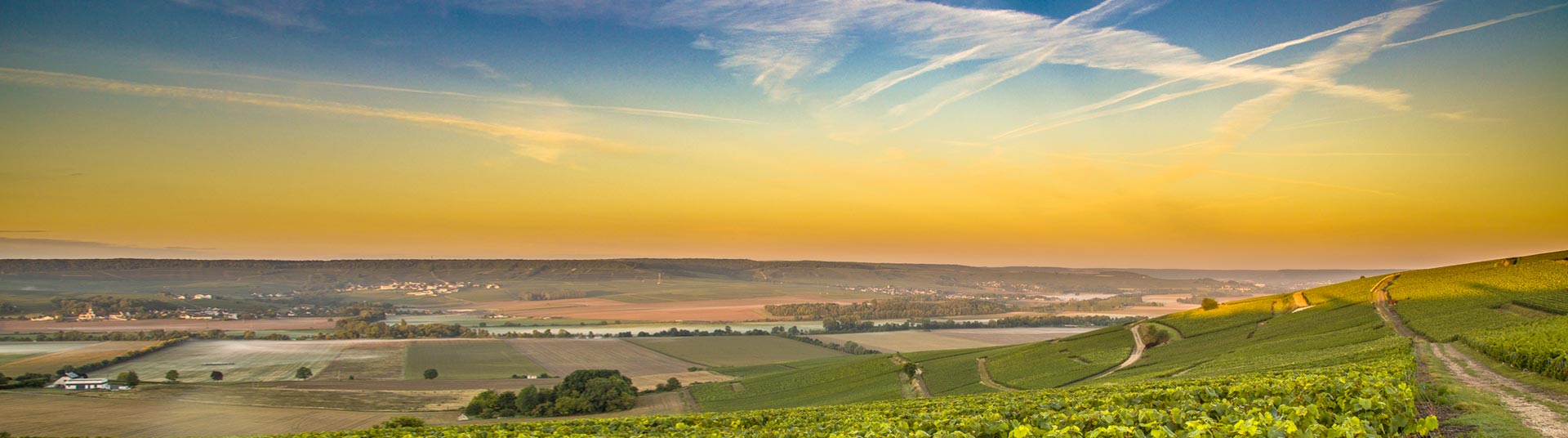 Champagne-Ardenne