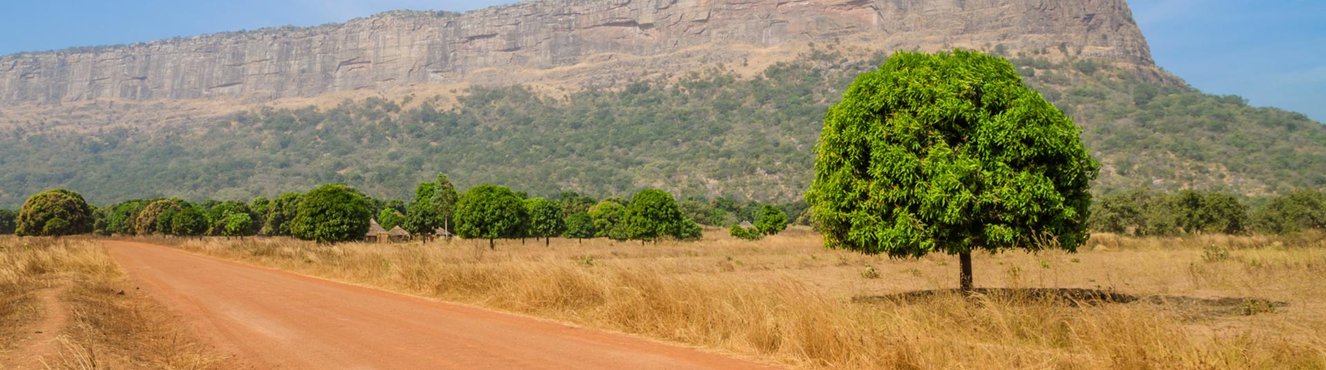 Guinée