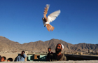 Vol Afghanistan
