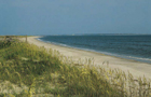 Caroline du Nord: Plage
Vol Raleigh
