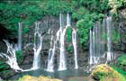 Vol Saint Pierre - Réunion