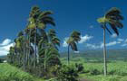 Vol Saint Pierre - Réunion