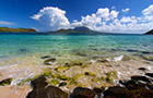 Vol Saint Kitts and Nevis