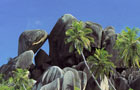 Vol Praslin (Seychelles)