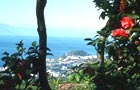 Vol Funchal