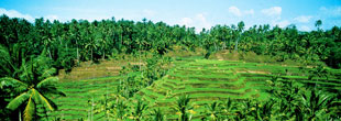 Laos