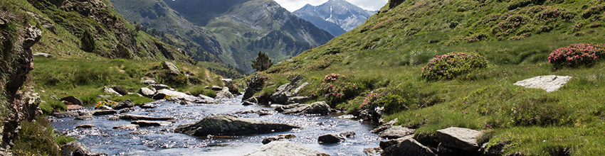 Le Riu Gran Valira