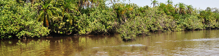 Le Canal du Mozambique