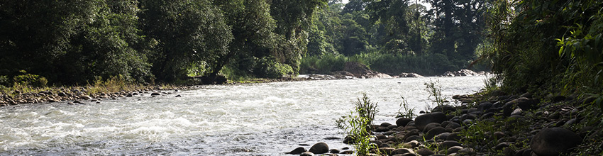 Le Rio Sarapiqui