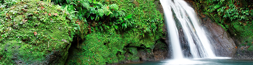 Les sources chaudes de la coulée Rivière-Blanche