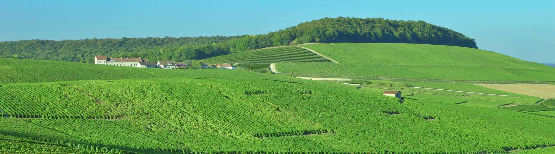 Champagne-Ardenne