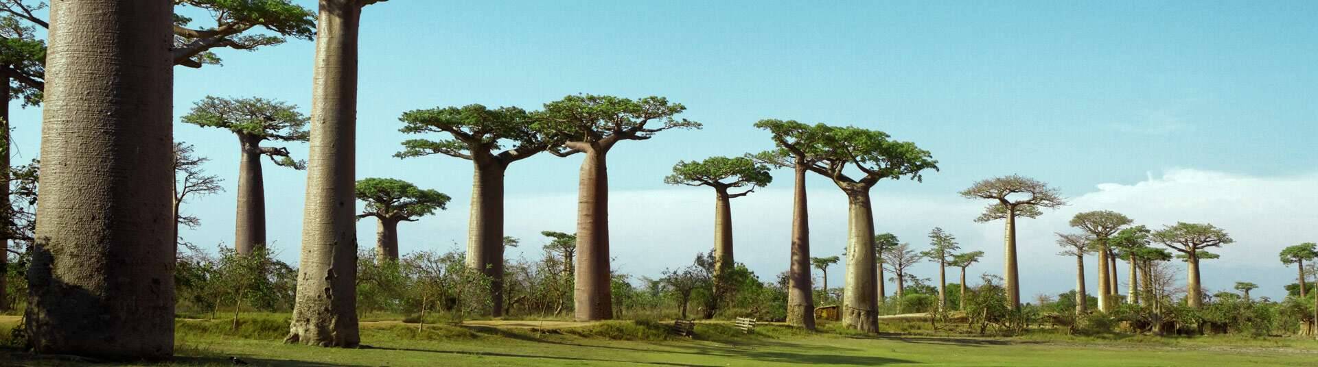 Madagascar