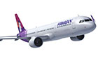 Hawaiian Airlines